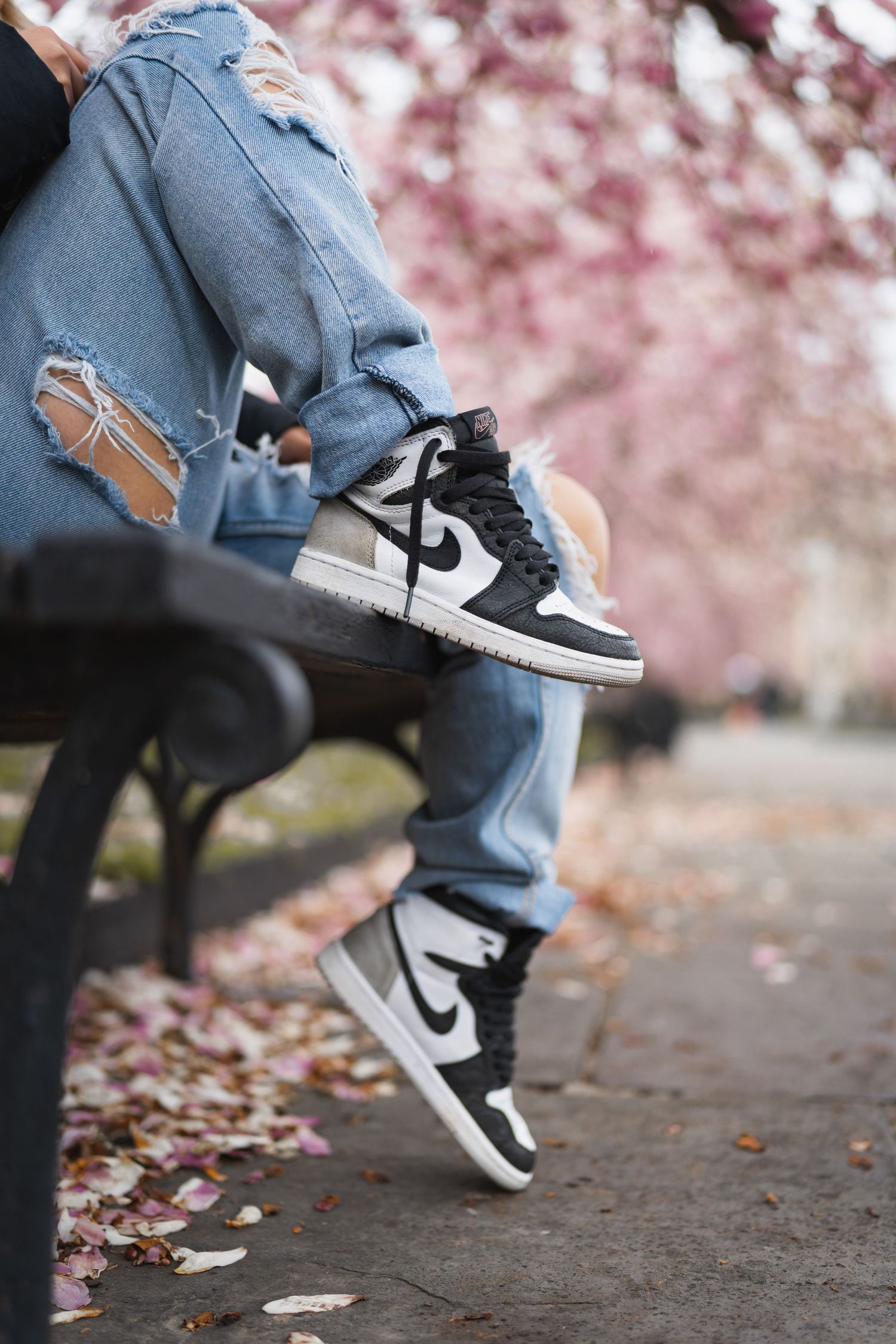 Close-up of Nike Air Jordan 1 sneakers on a person wearing ripped jeans seated on a bench near cherry blossoms.