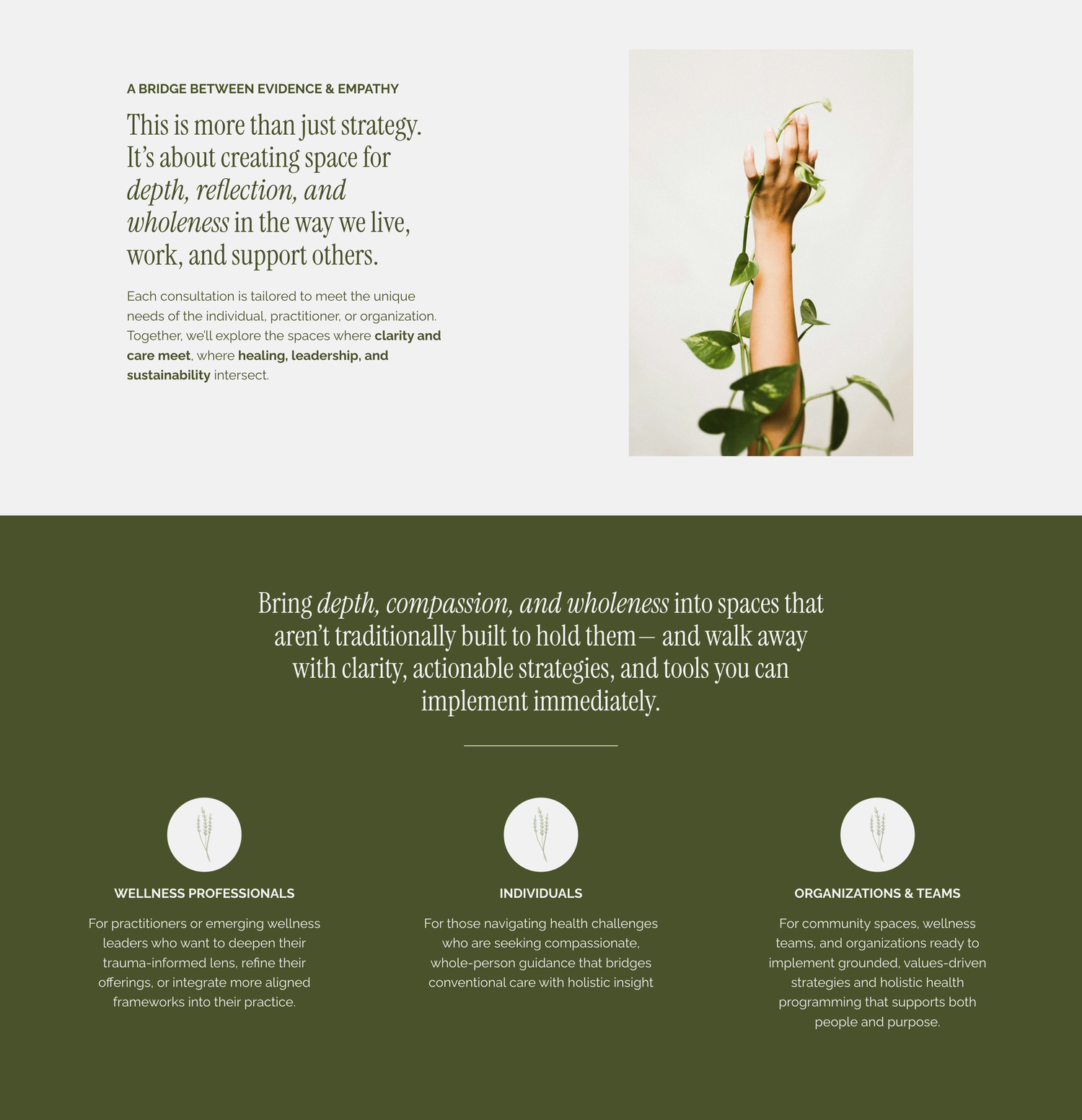 A hand holding a green plant branch against a neutral background, symbolizing wellness, growth, and holistic health.