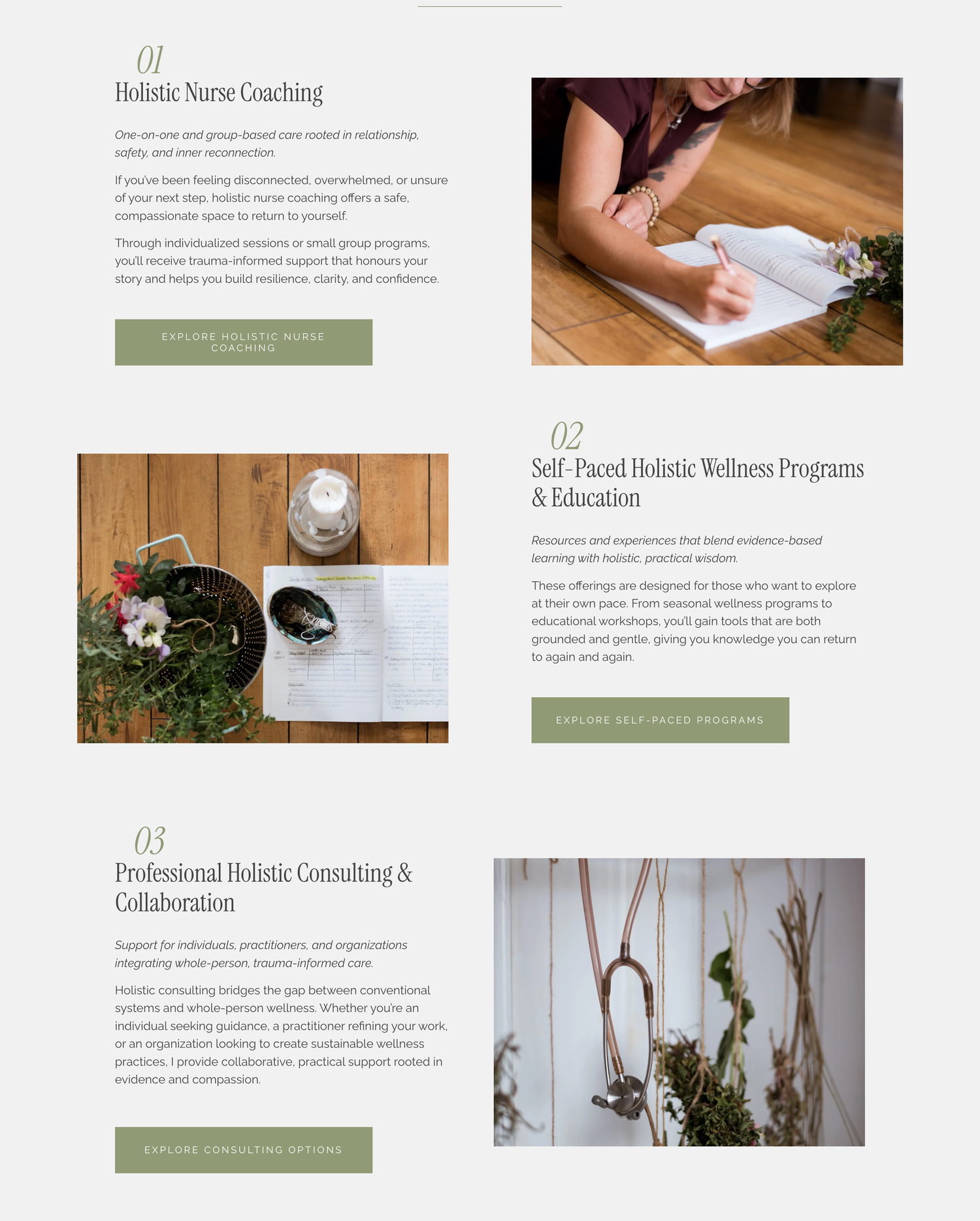 A holistic wellness webpage featuring coaching services, wellness programs, and consulting with nature-inspired imagery and earthy tones.