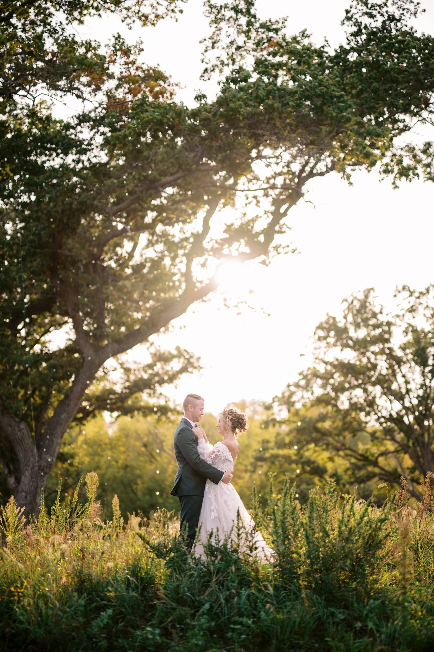 A romantic sunset portrait of a couple embracing in a meadow beneath a large tree.