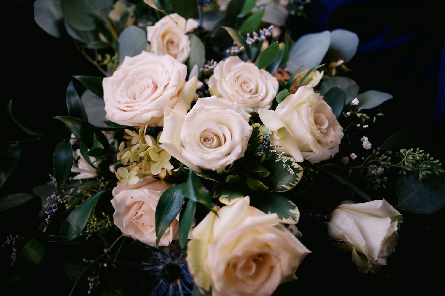Soft pink roses arranged in an elegant bouquet with dark green foliage against a black background.