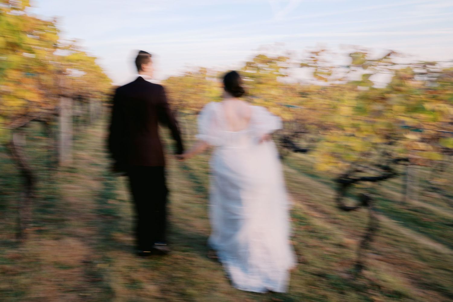 Motion-blurred artistic photo of newlyweds walking through vineyard rows.