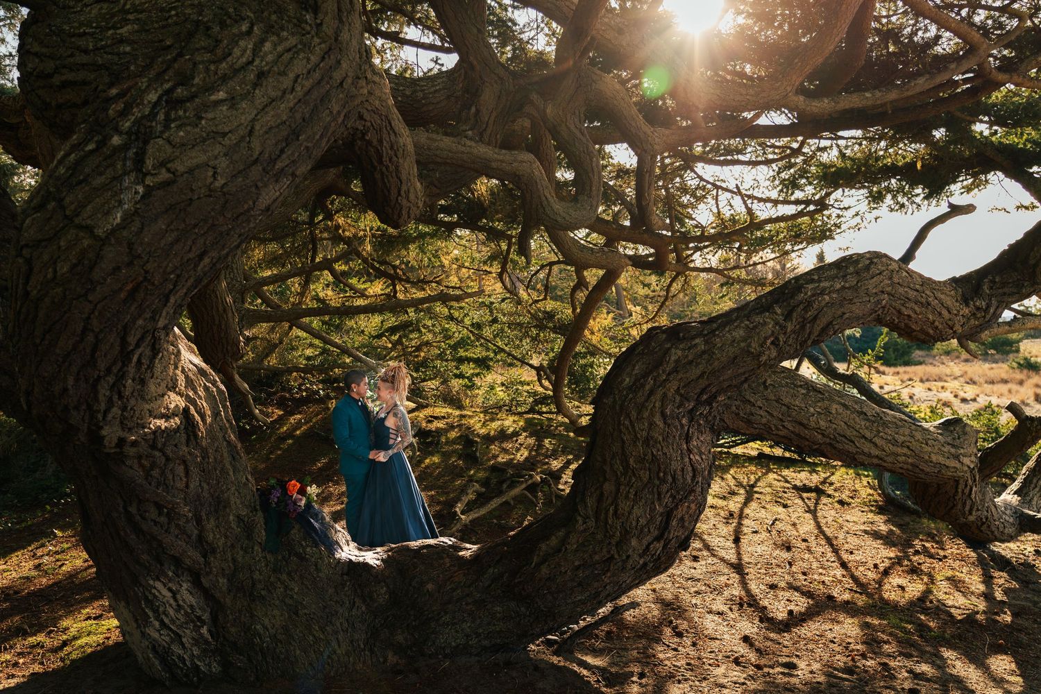 Sun flares, Ancient Douglas-fir tree, creating a beautiful glow on a couple - Elopement session by Savvy Photography