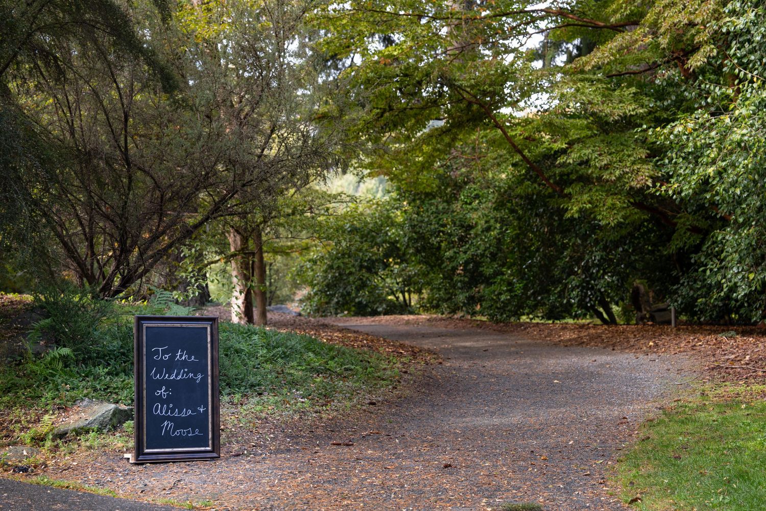 A scenic dirt path winding through a lush green park with trees and foliage on both sides. captured by Savvy Photography - Seattle Wedding