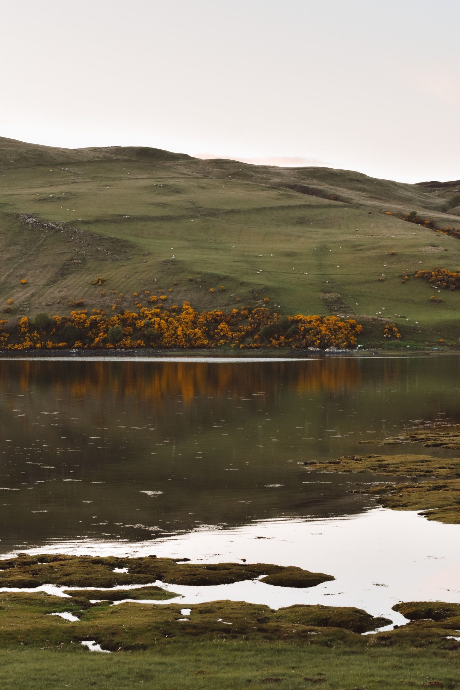 Hill reflection on lake