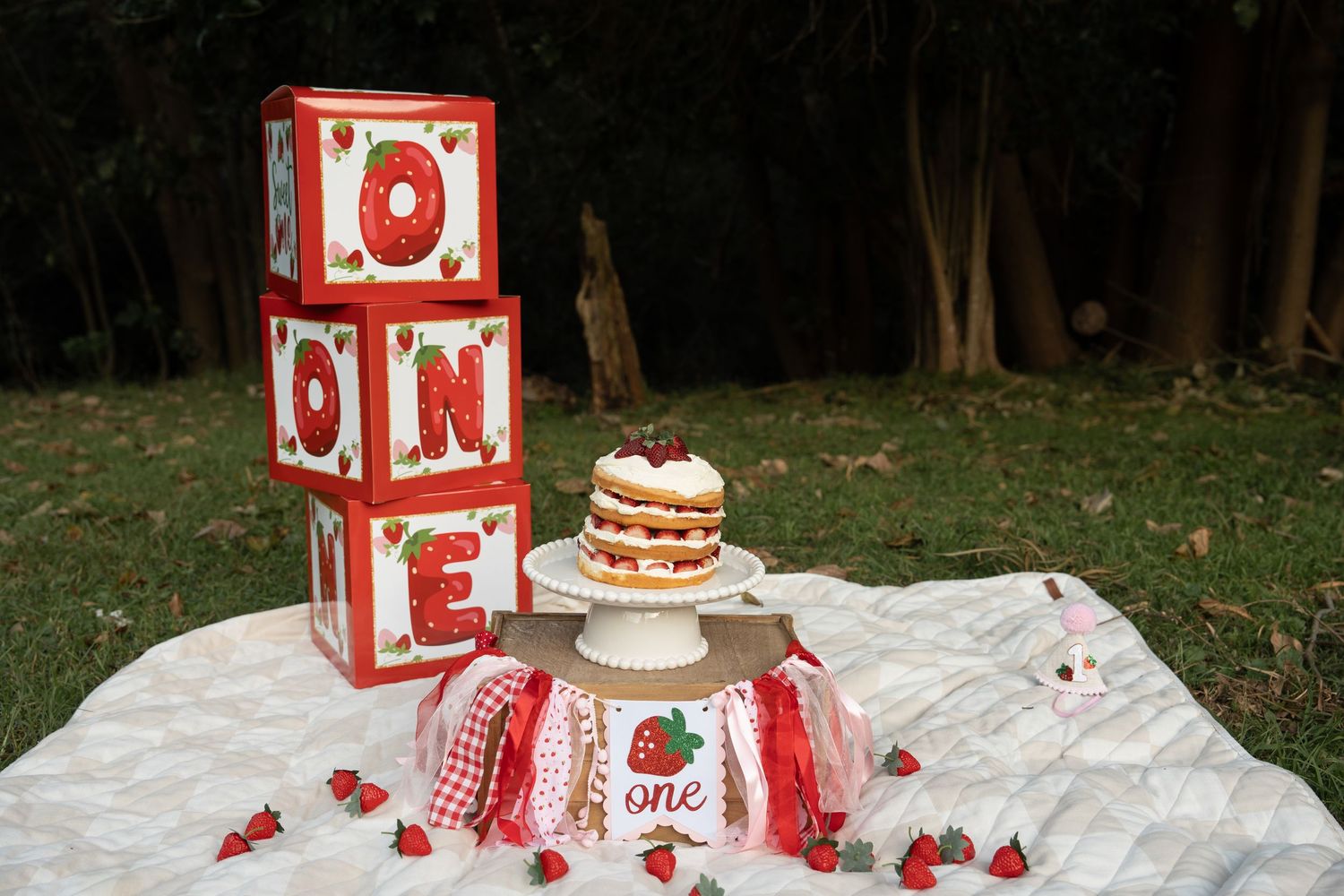 baby's first year and cake smash photography in Wollongong