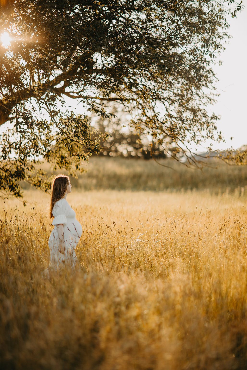 A figure in a white dress stands in a golden wheat field at sunset as sunlight filters through tree branches above.