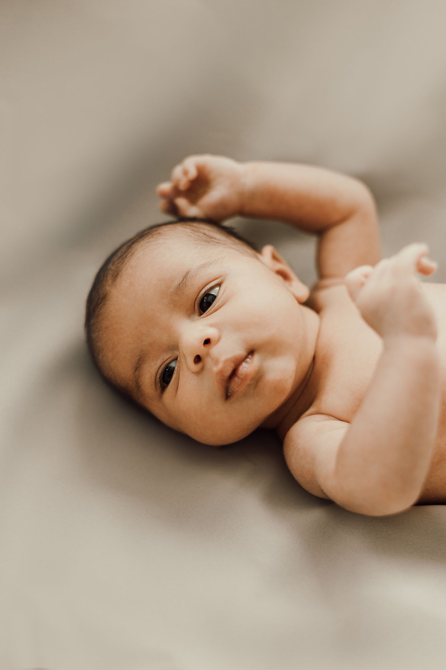 Lupin_intuition, Lifestylefotografering