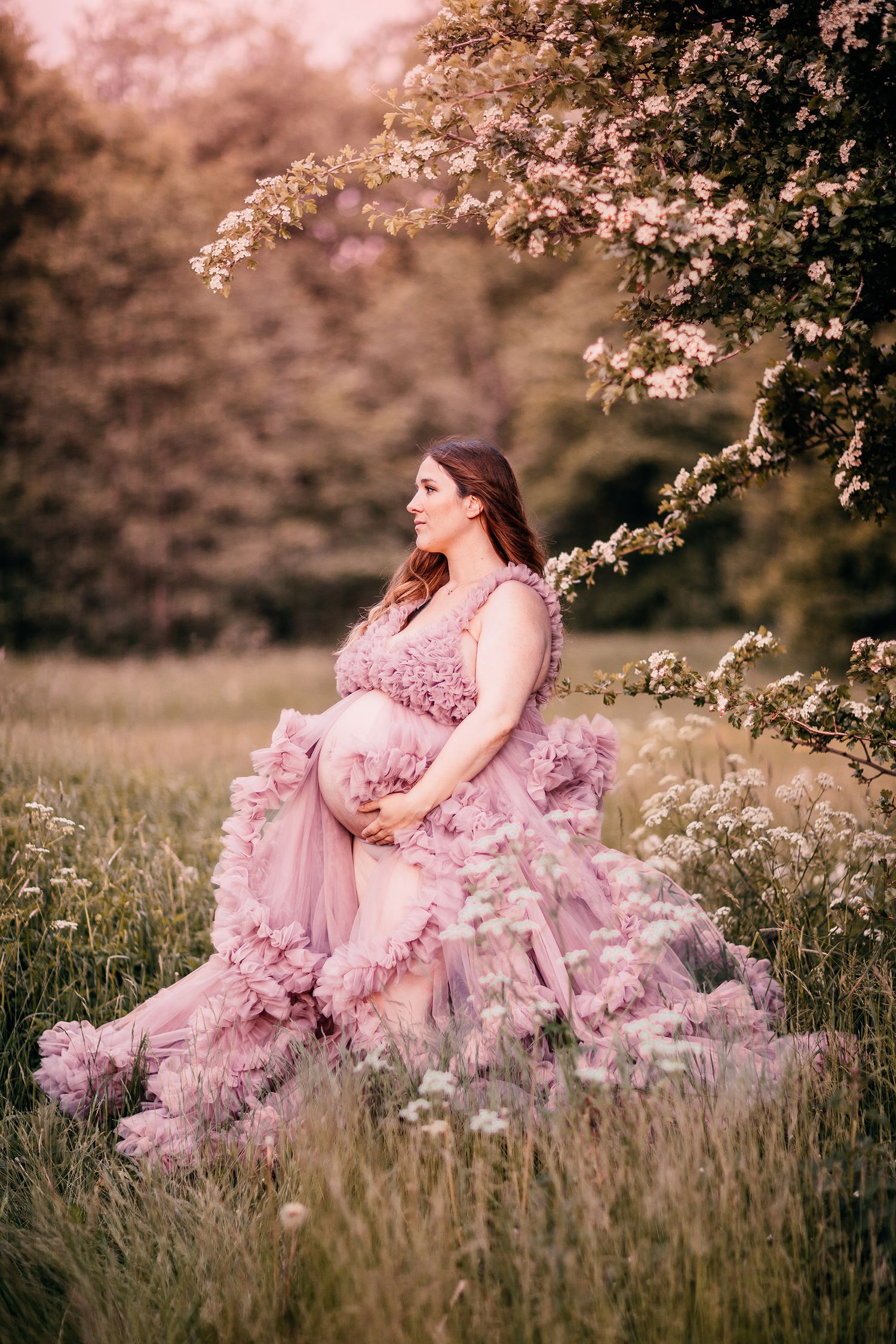 A maternity portrait in a pink ruffled gown amid blooming cherry blossoms and tall grass at sunset.
