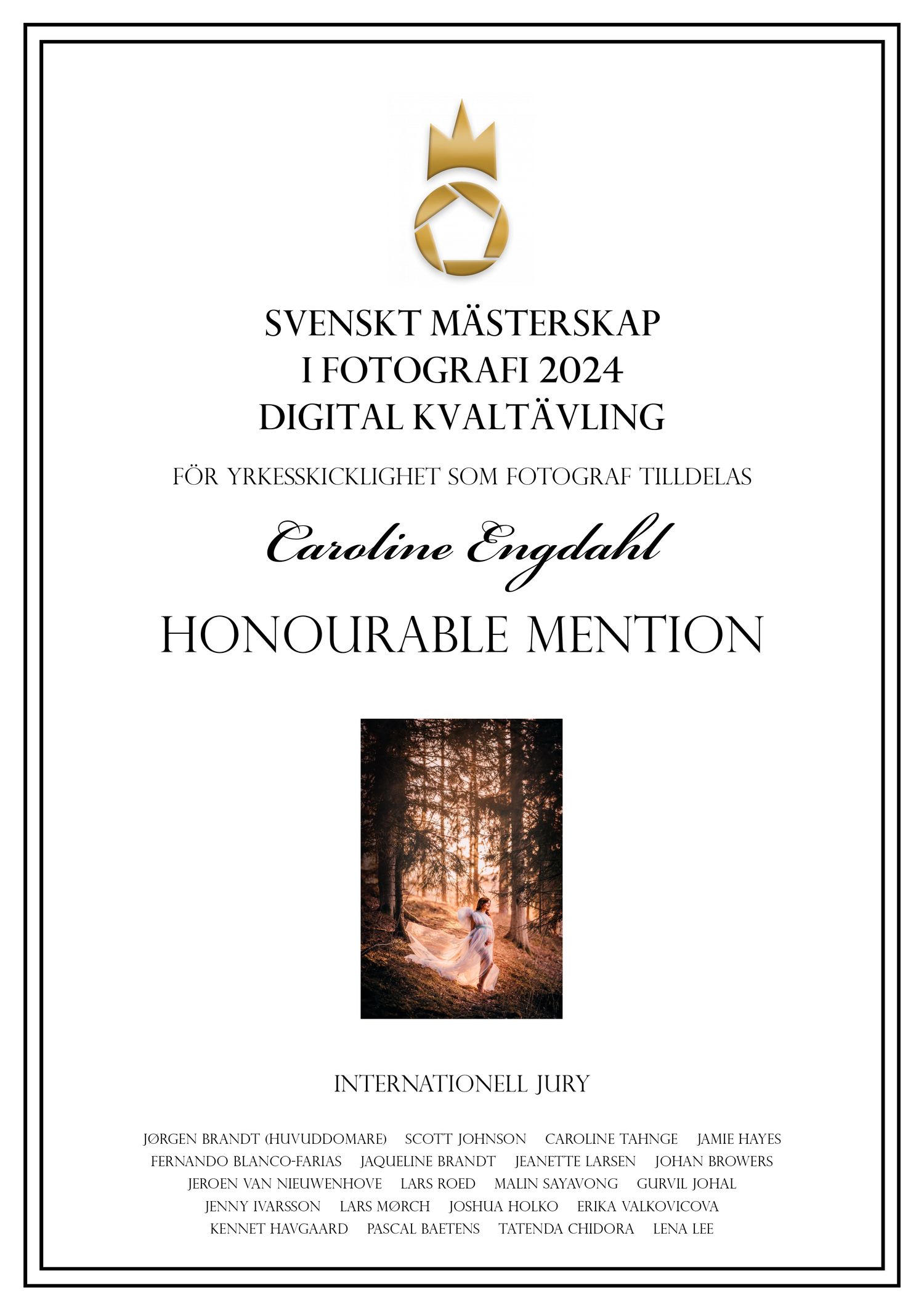 A photography award certificate showing a maternity silhouette image in warm tones.