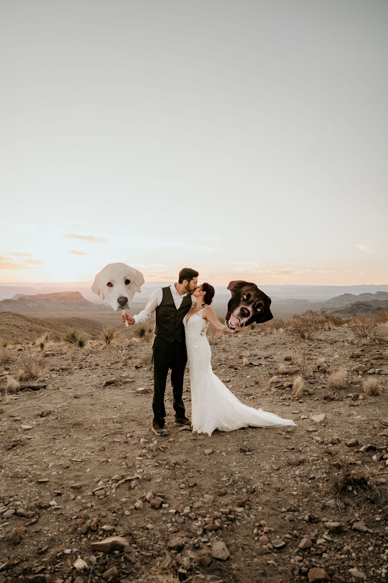 Wedding couple poses in various romantic stances against a desert mountain backdrop.