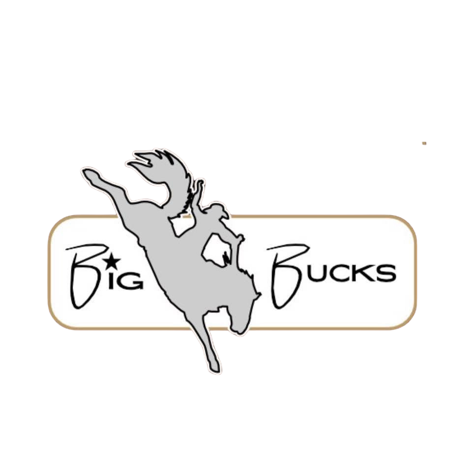 Big Bucks logo featuring a bucking bronco silhouette in gray with gold-bordered rectangular text frame.