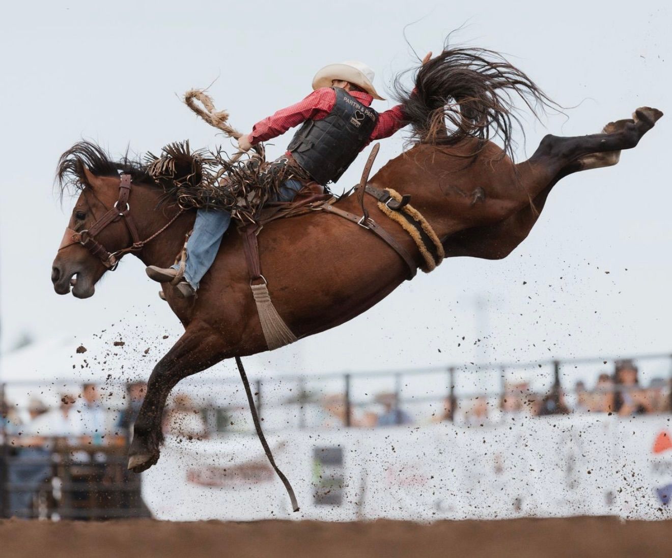 A cowboy rides a bucking bronco horse at a rodeo competition, dirt flying as the horse leaps into the air.