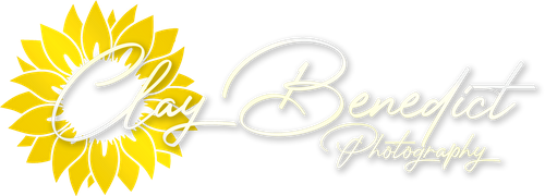 Clay Benedict Photography logo featuring a bright yellow sunflower graphic beside elegant white cursive script lettering.