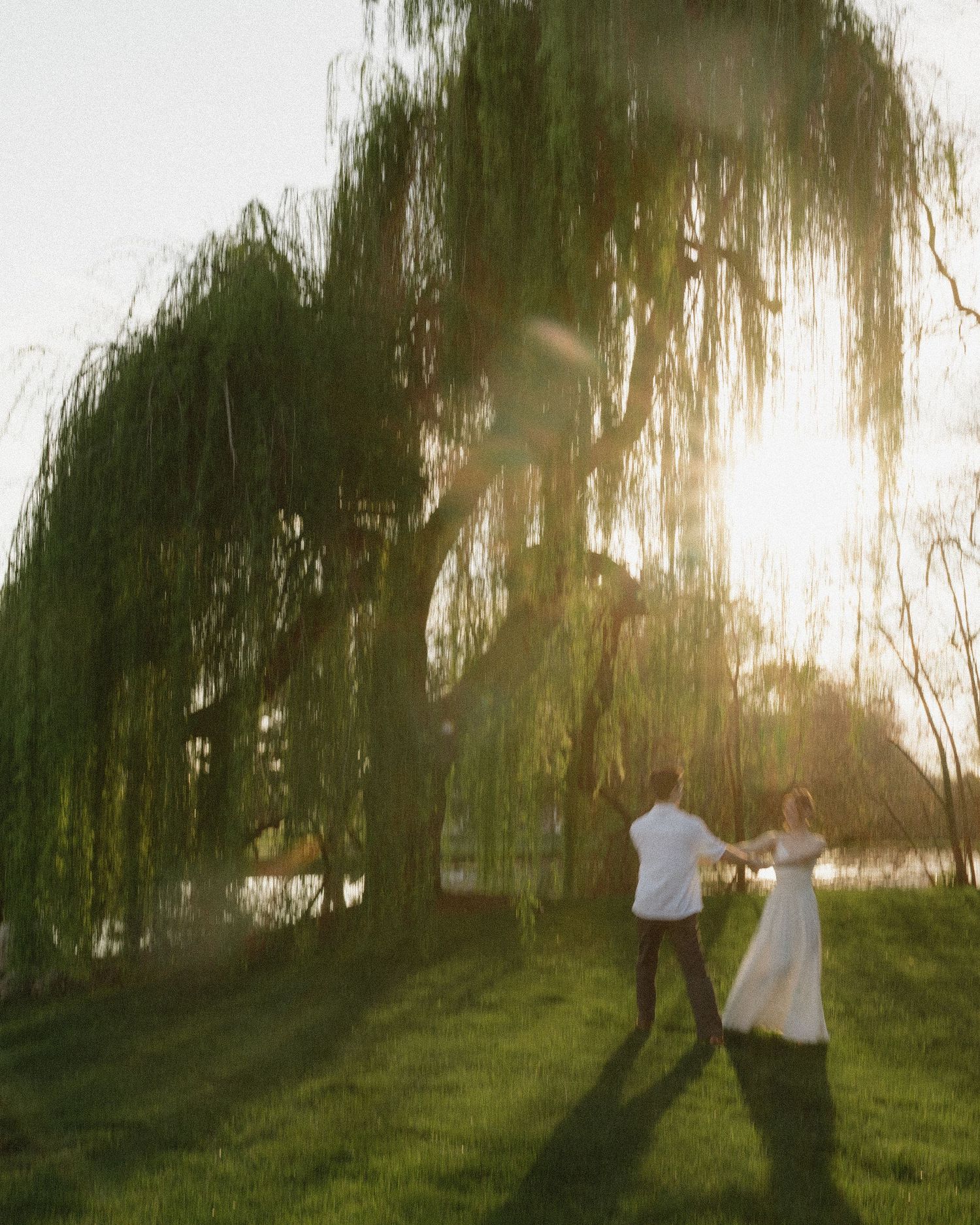 wiping willow engagement session in california at sunset