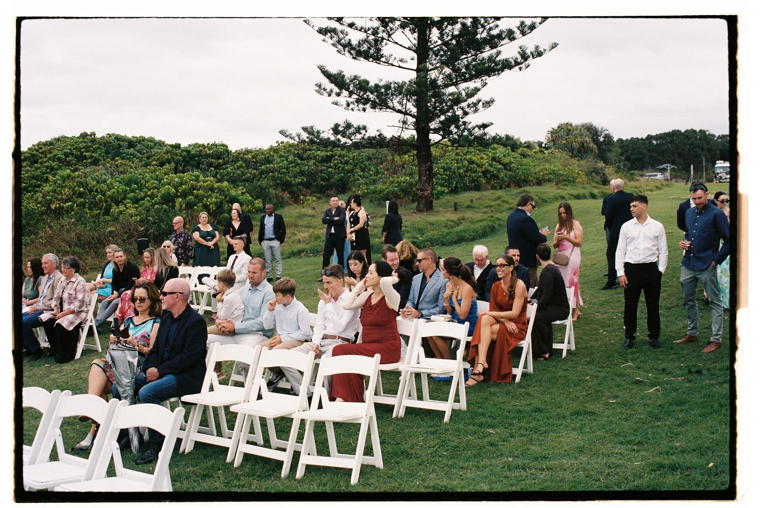 Guests seated on white chairs at an outdoor wedding ceremony on a green lawn with pine trees in the background.