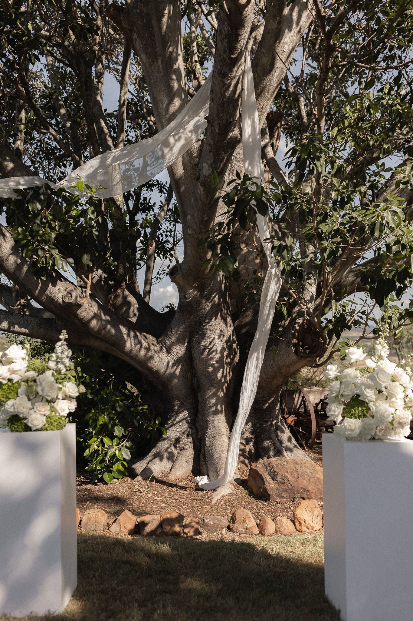 Large tree decorated with white fabric draping flanked by white floral arrangements at outdoor wedding.