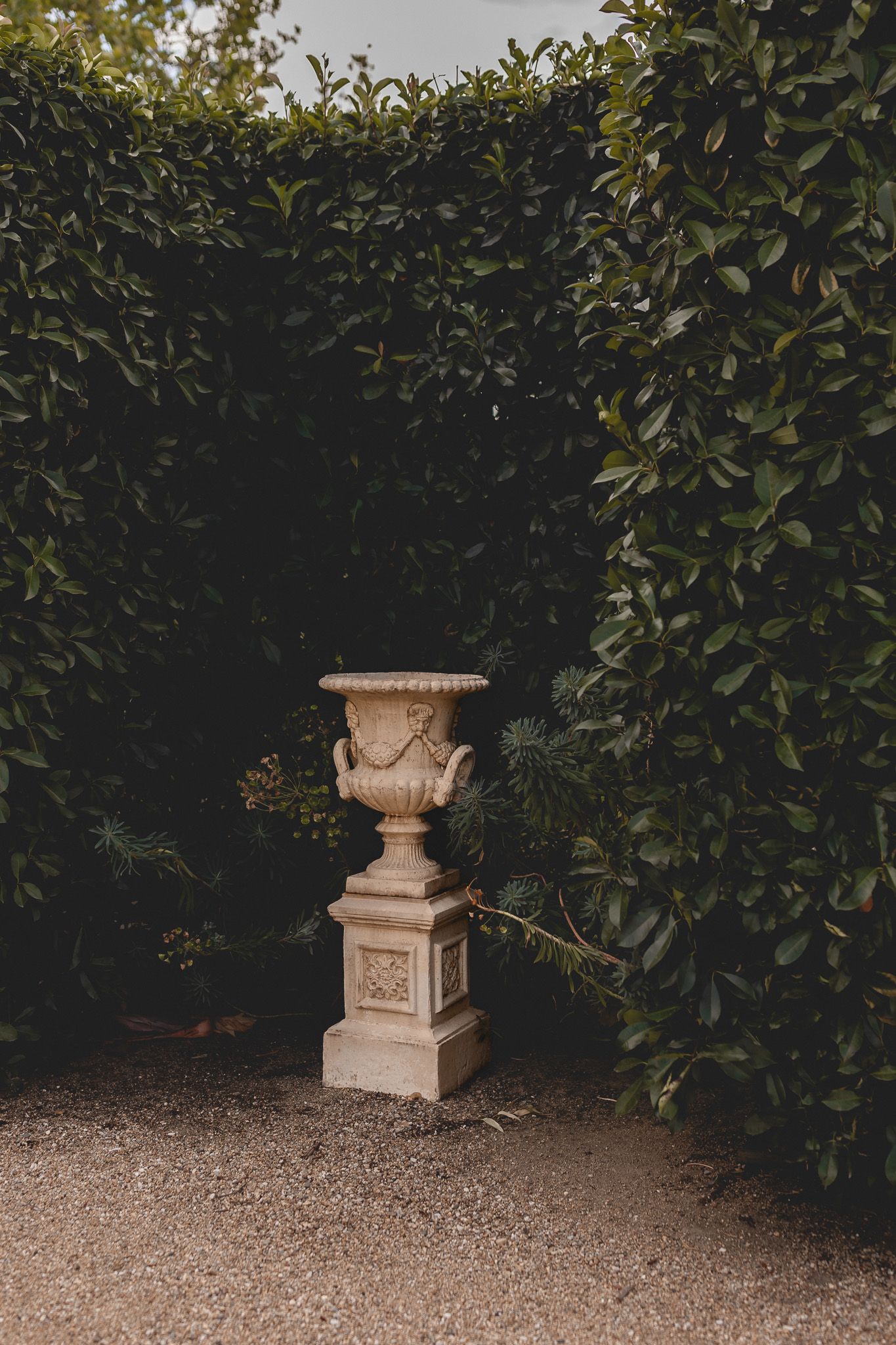Ornate stone garden urn on pedestal surrounded by lush green hedges in formal garden.