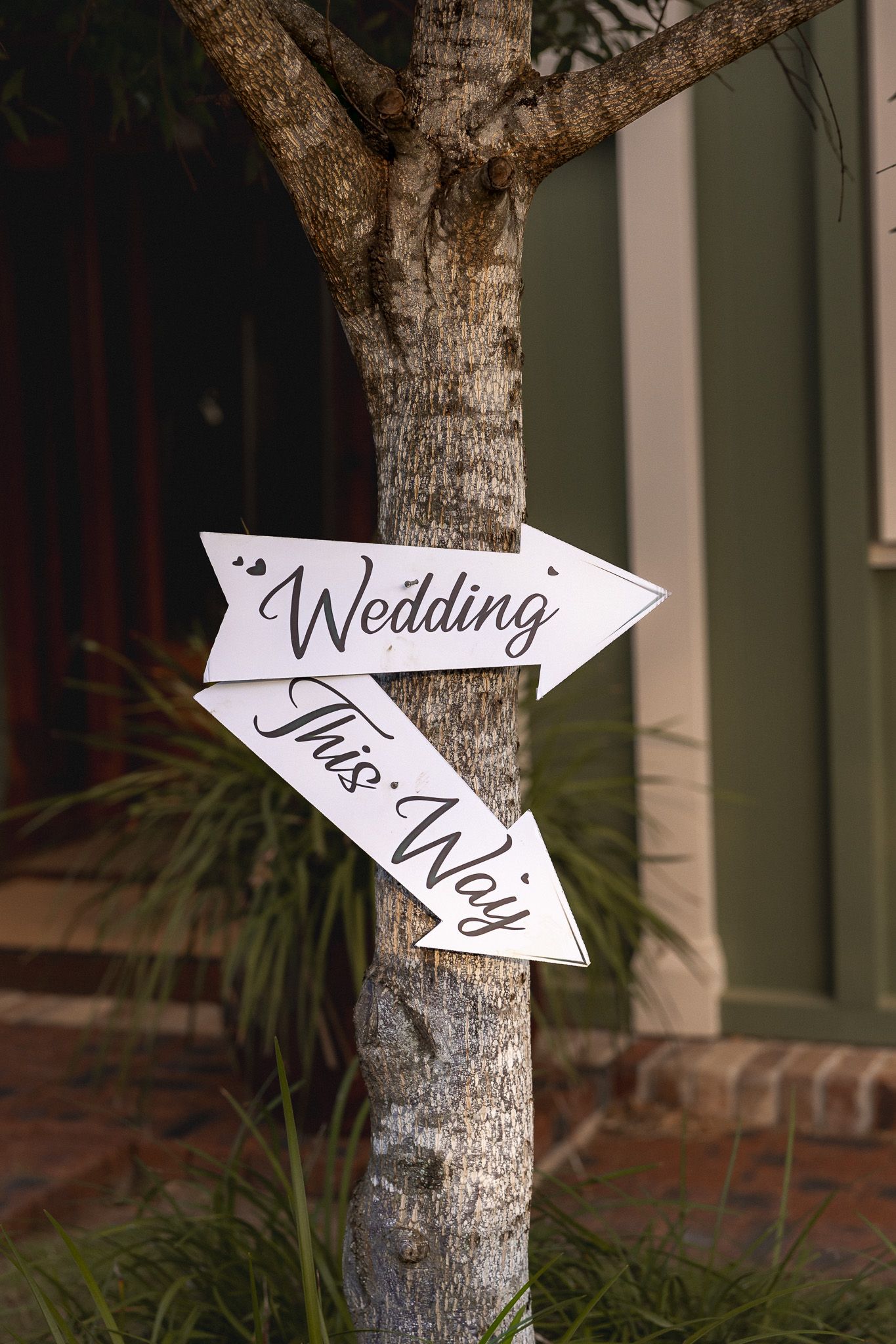 White arrow-shaped wedding signs reading Wedding This Way attached to a tree trunk.