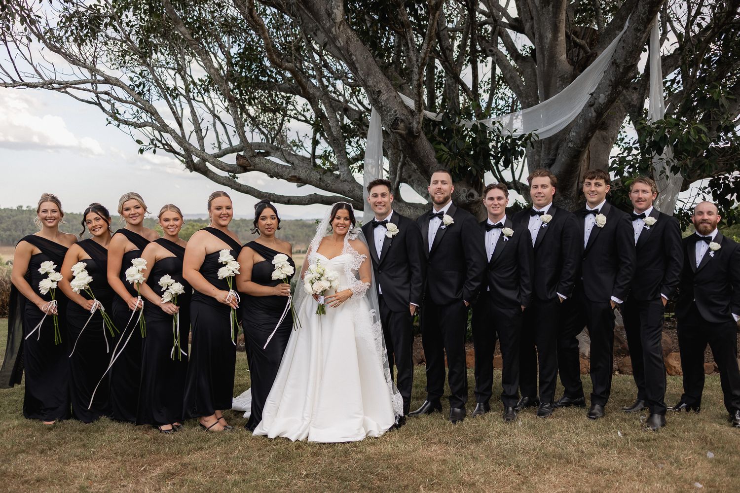Wedding party poses under large fig tree with bridesmaids in black gowns and groomsmen in black tuxedos.