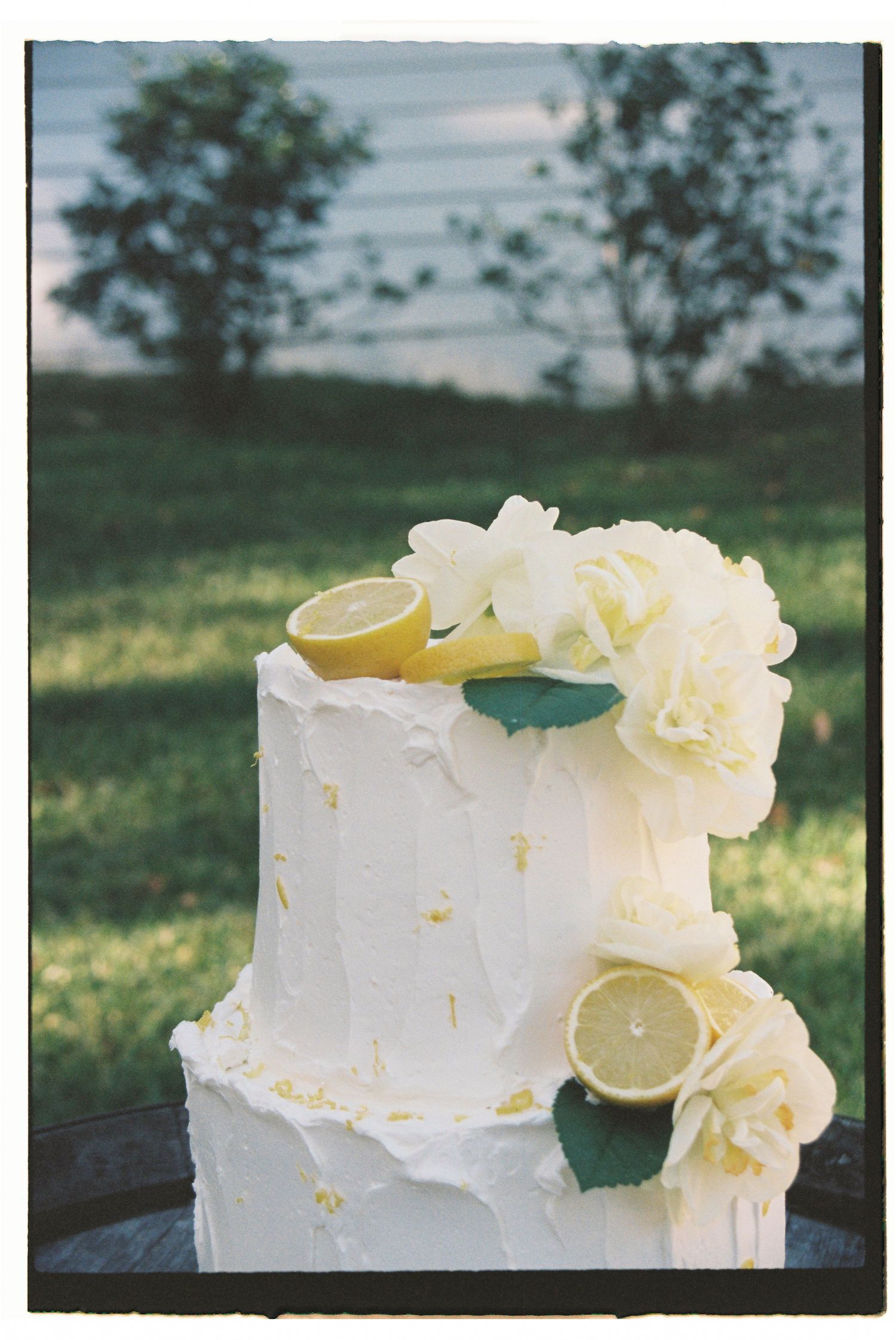 Two-tier white wedding cake decorated with fresh lemons and white flowers outdoors.
