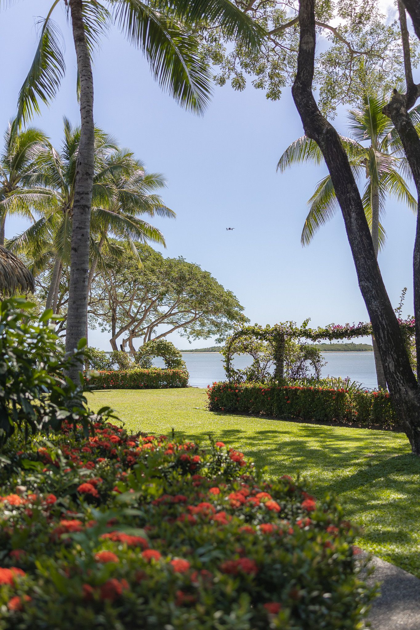 Tropical garden with palm trees, colorful red flowers, lush green lawn, and ocean view under a clear blue sky.
