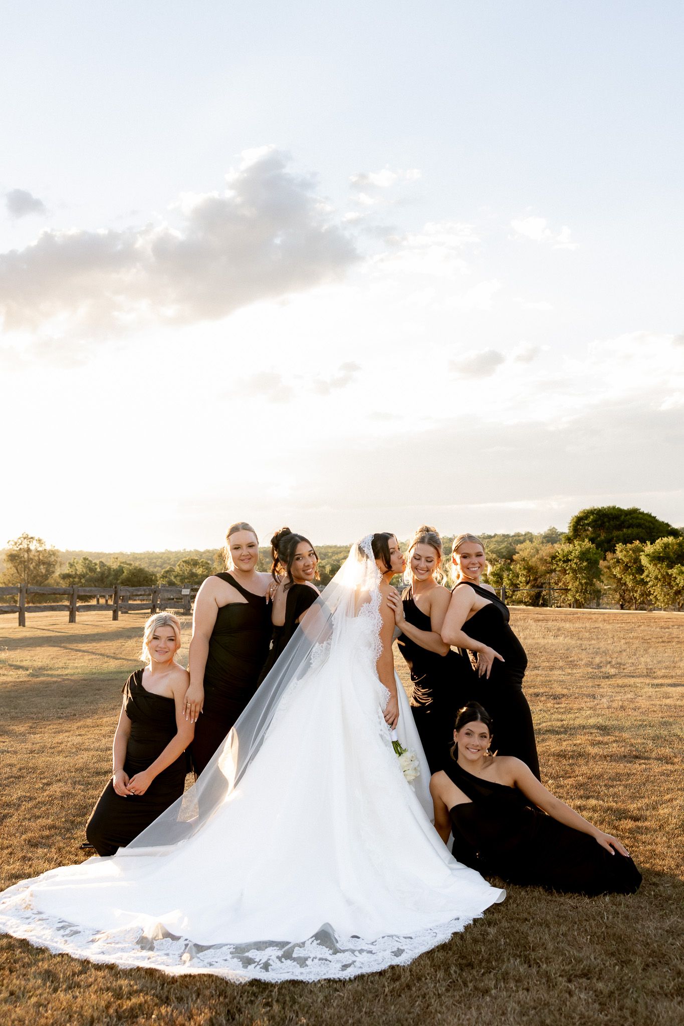 Bride in white gown with long veil surrounded by five bridesmaids in black dresses posing in golden field.
