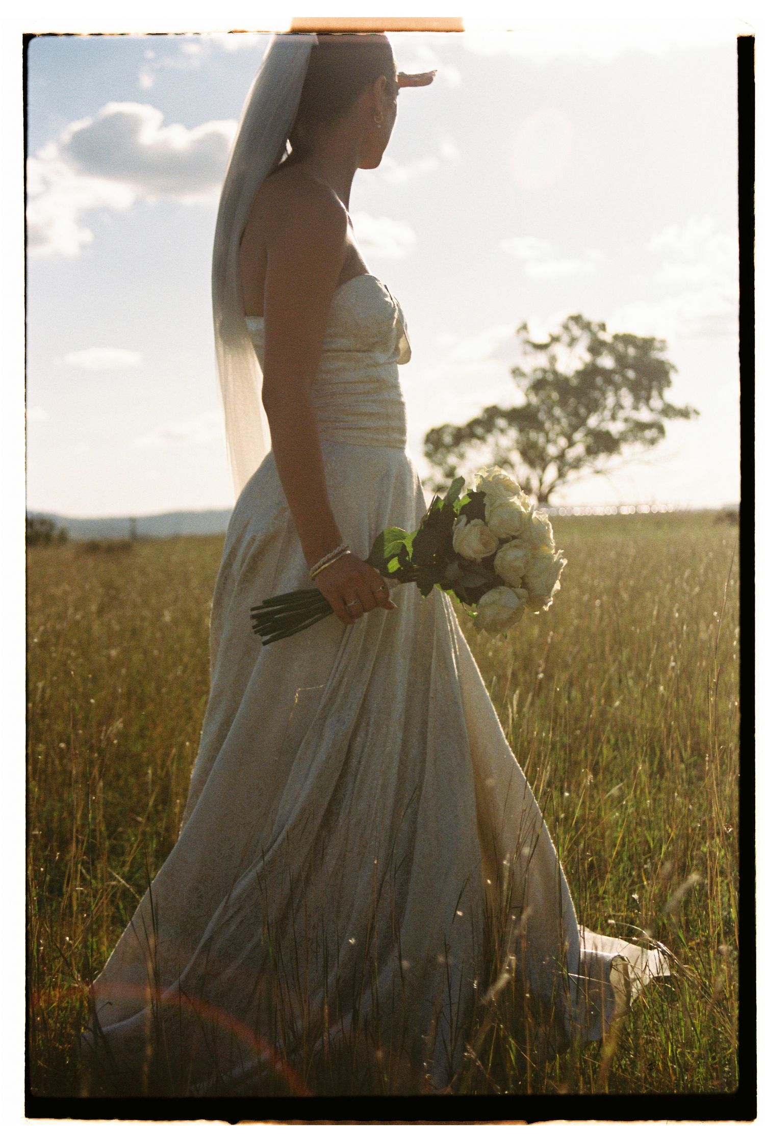 Bride in white gown and veil holds bouquet in sunlit field, backlit by golden hour light with tree in background.