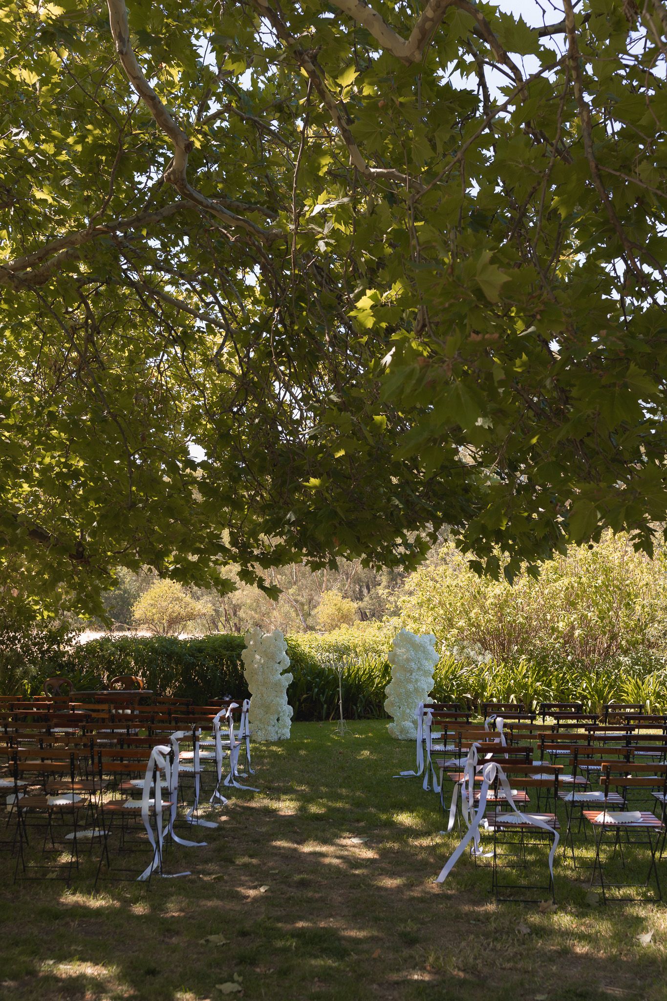 Outdoor wedding ceremony setup with wooden chairs lining a grassy aisle under a large shady tree.