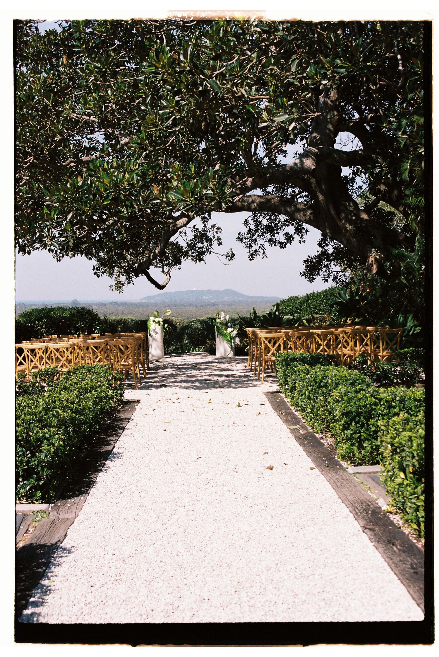 A gravel garden path flanked by trimmed hedges and yellow fences leads to an open landscape under a sprawling tree.