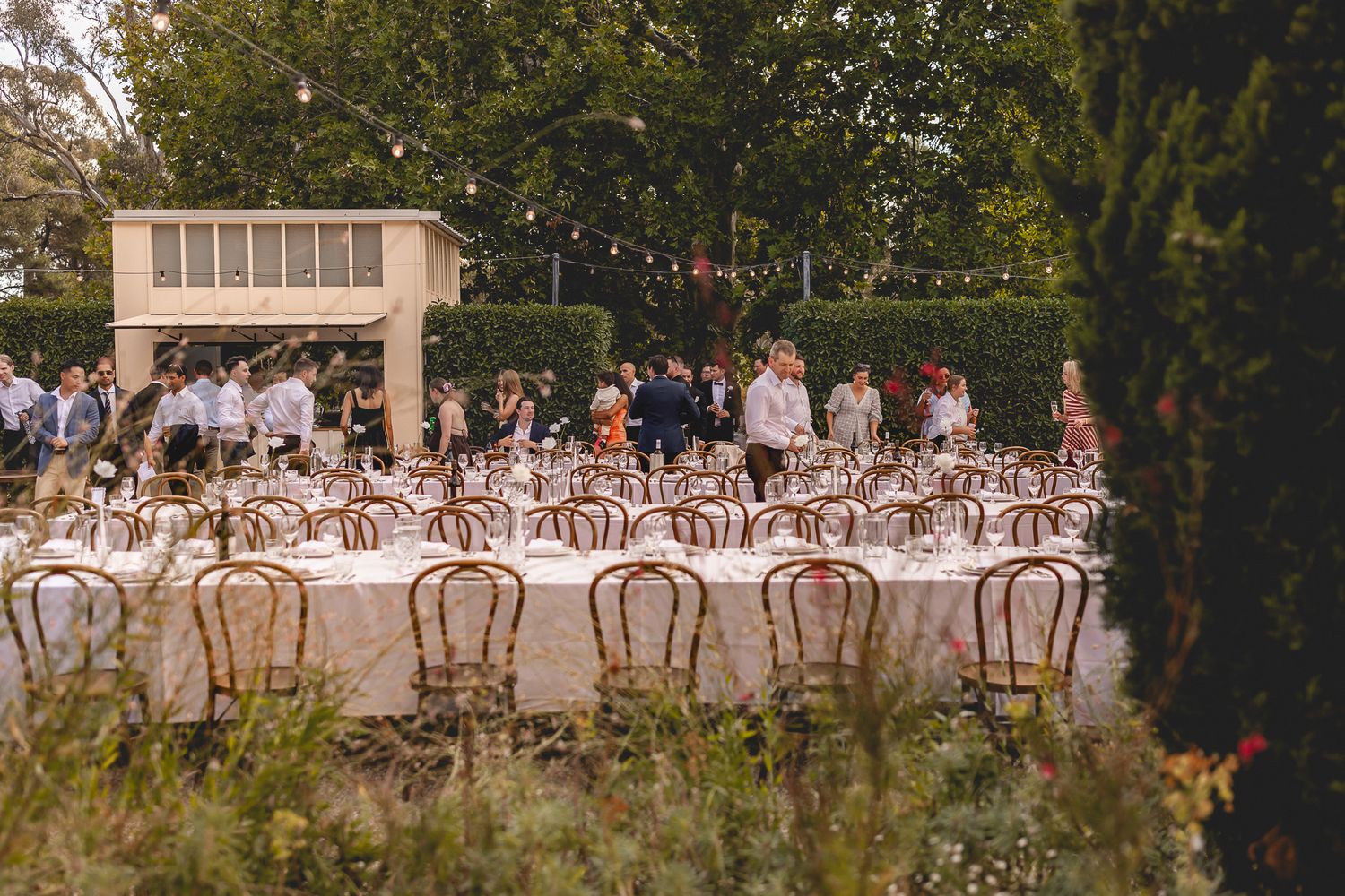 Outdoor wedding reception with long tables, gold chairs, string lights, and guests mingling at dusk.