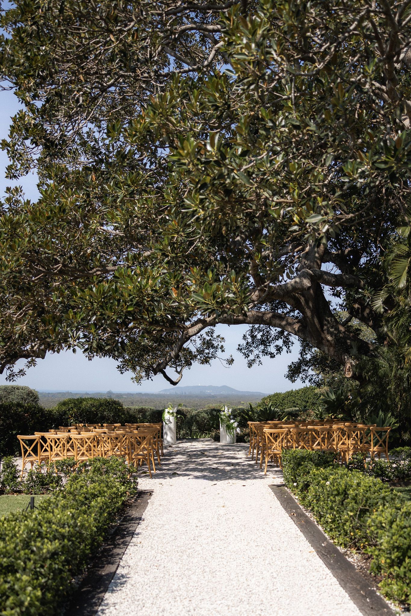 Elegant outdoor wedding ceremony aisle lined with wooden chairs under a sprawling tree with ocean views.