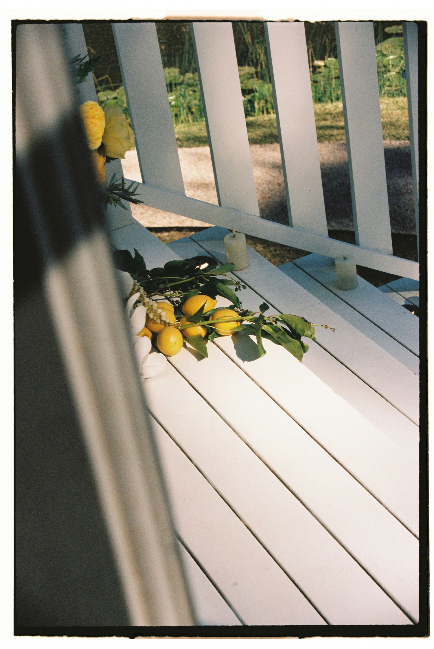 Fresh yellow lemons on a branch resting on a white wooden porch railing.