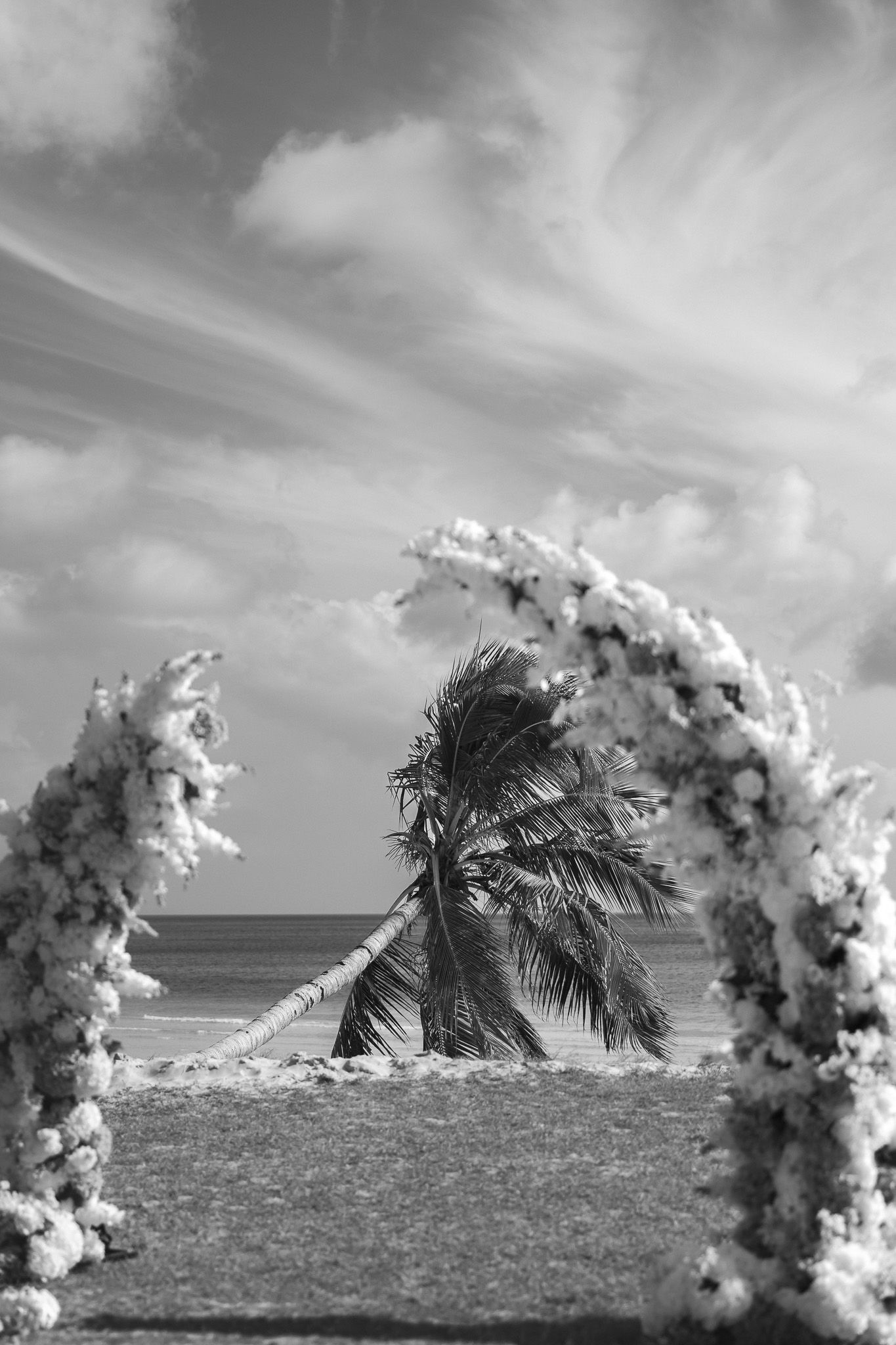 Black and white beach wedding arch adorned with flowers, leaning palm tree, and dramatic cloudy sky over ocean.