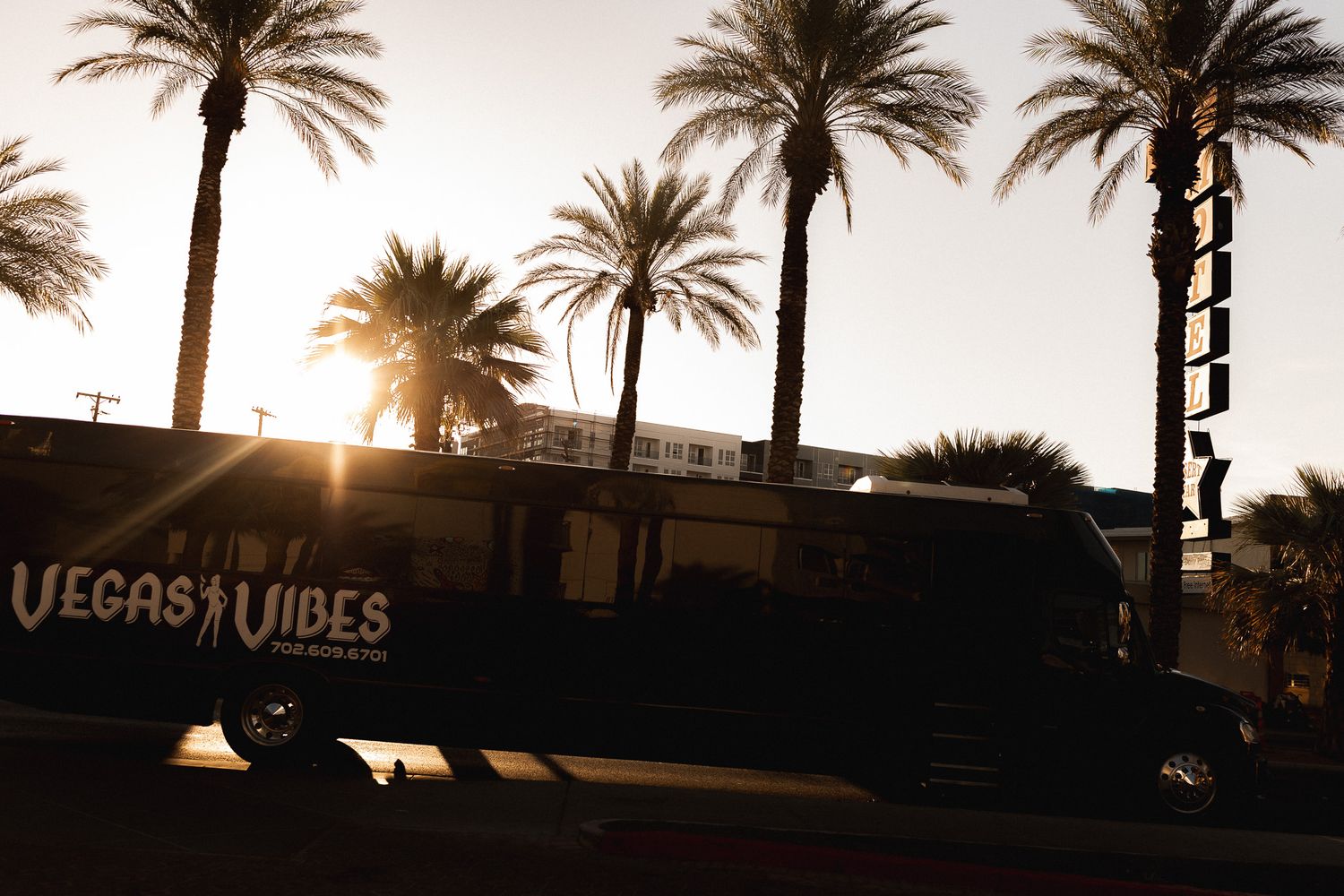 A Vegas Vibes party bus silhouetted against a golden sunset among tall palm trees.