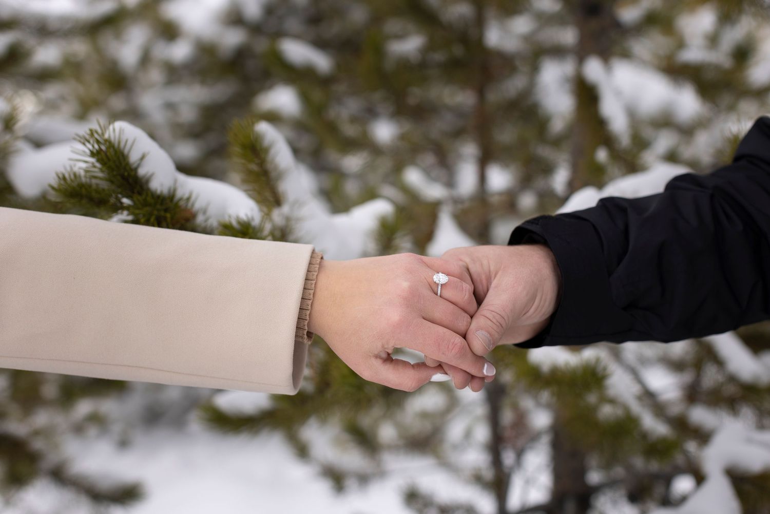 Two people holding hands outdoors in winter, with snow-covered pine trees in the background.