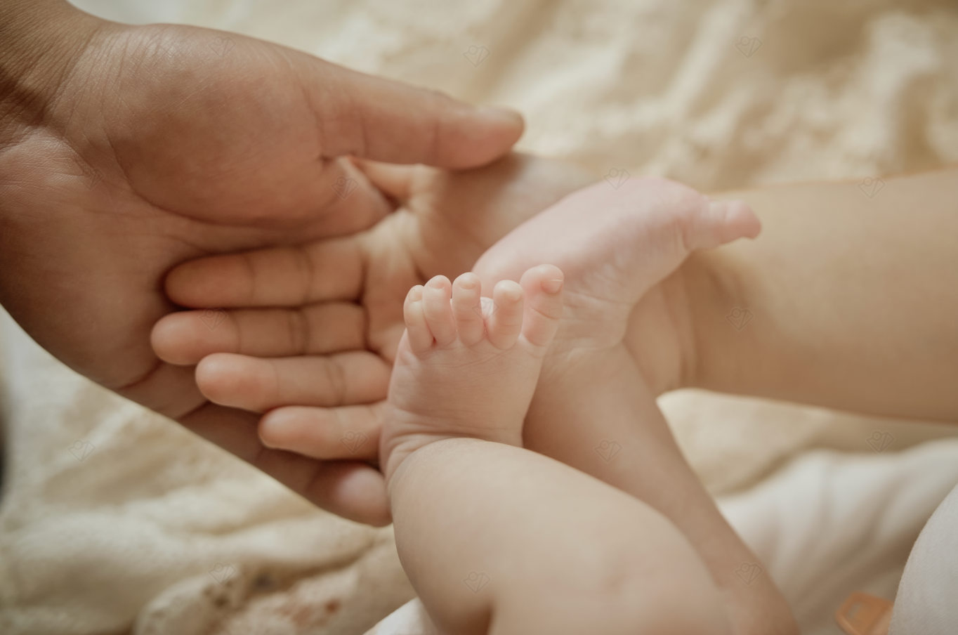Adult hands gently cradling tiny newborn baby feet on a soft white blanket, symbolizing parental love and care.