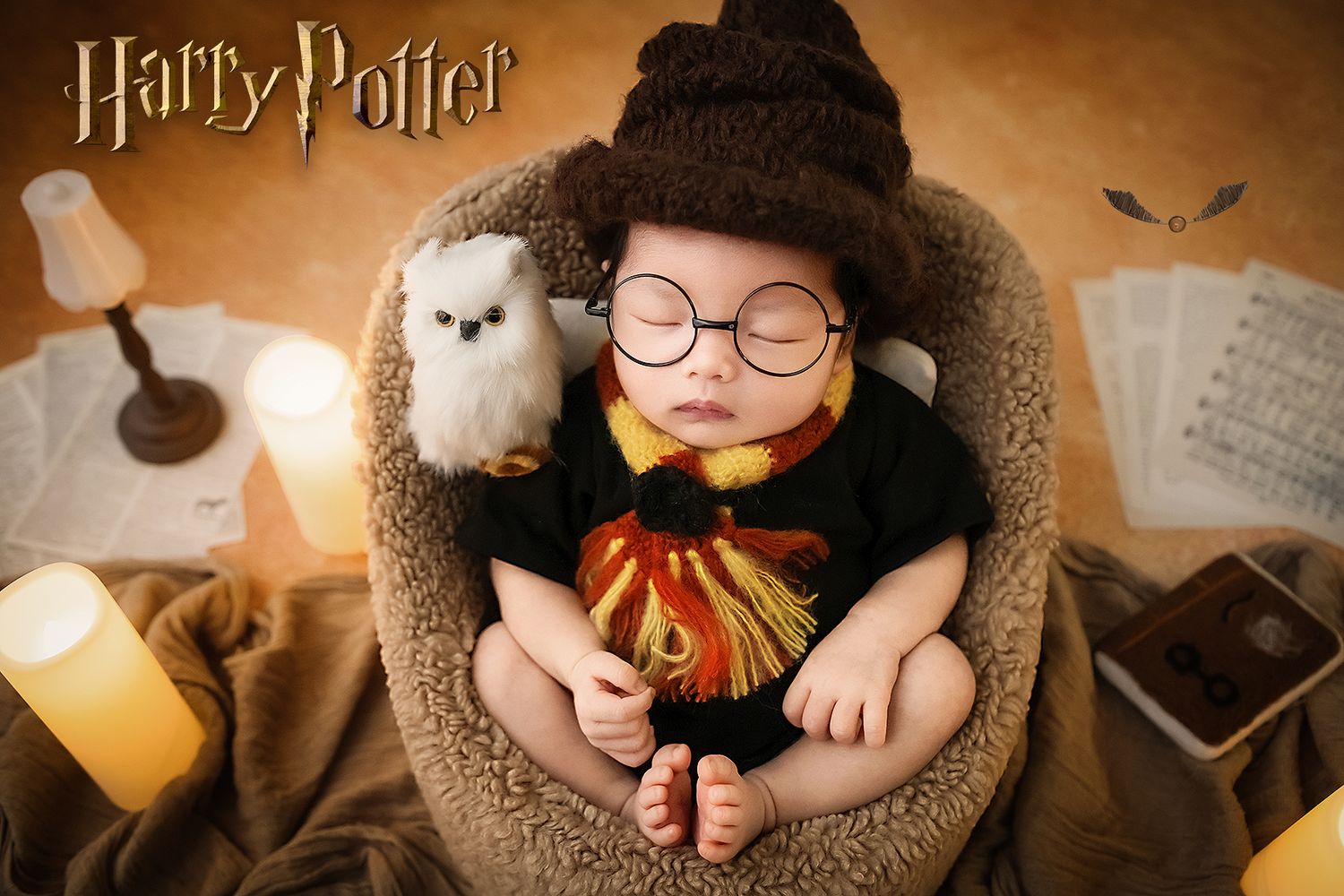 Newborn baby in Harry Potter outfit with sorting hat and glasses sitting with white owl Hedwig prop.