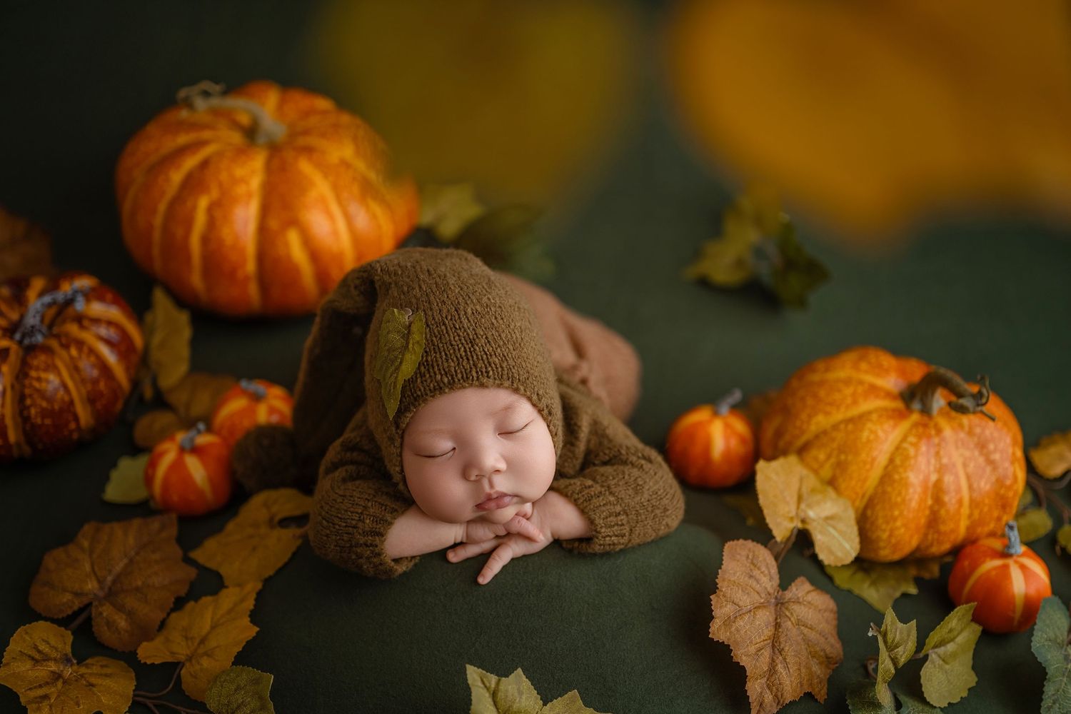 Newborn baby in brown knit bear hat sleeping peacefully surrounded by pumpkins and fall foliage.