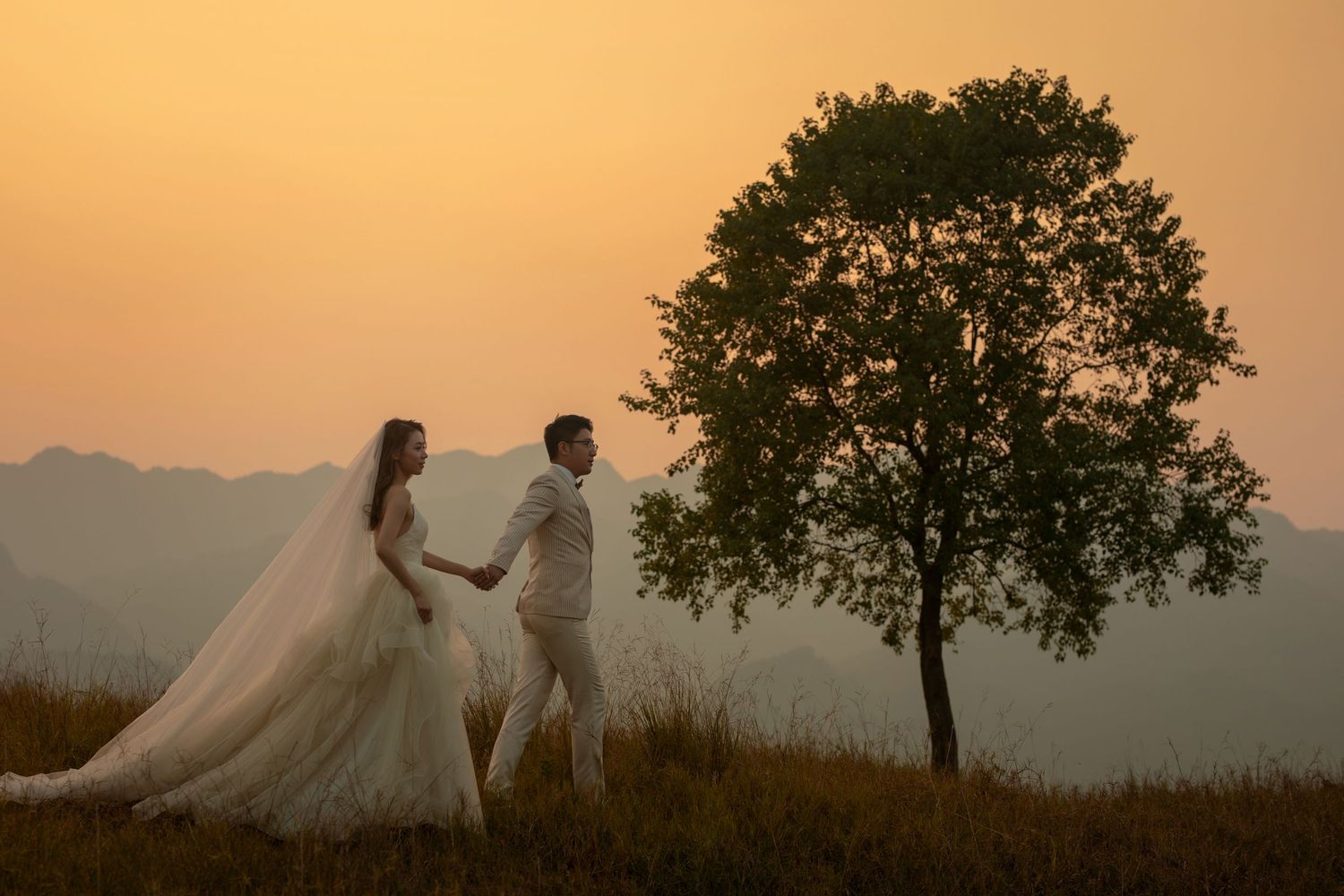 Elegant bride and groom hold hands near a lone tree with sweeping mountain sunset views in their wedding photos.