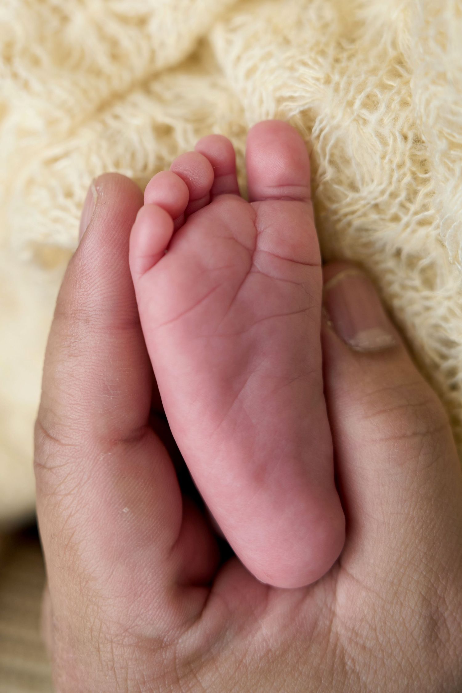 A parent gently holds a tiny newborn baby foot in their hand against a soft cream knit blanket.