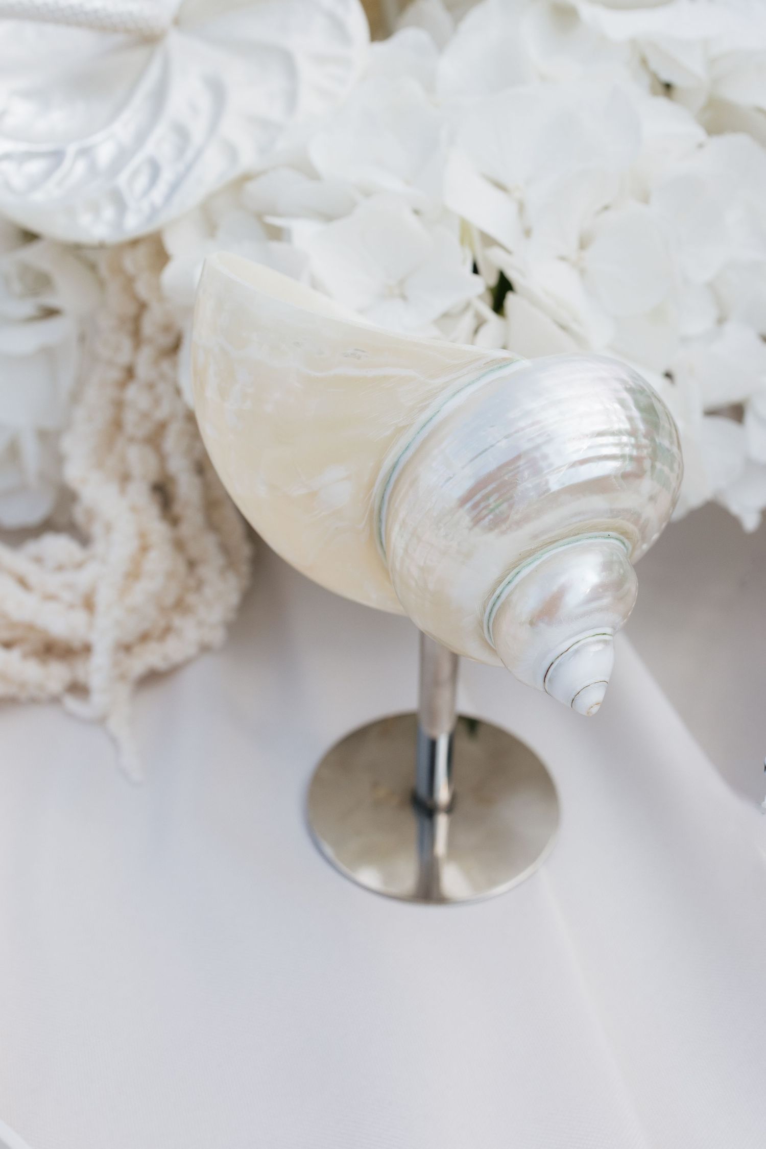 Elegant white seashell on a silver stand with pearl necklace and white hydrangeas in a coastal wedding decor.