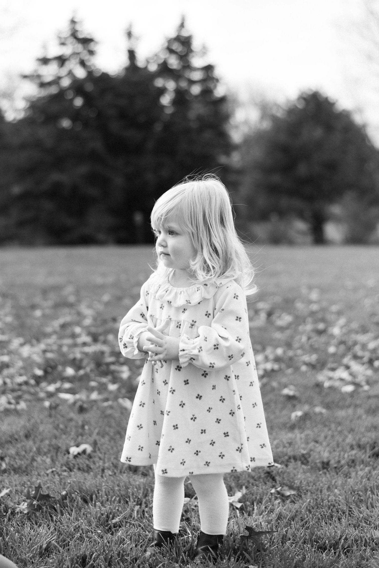 Daughter standing on her own during fall family photography session