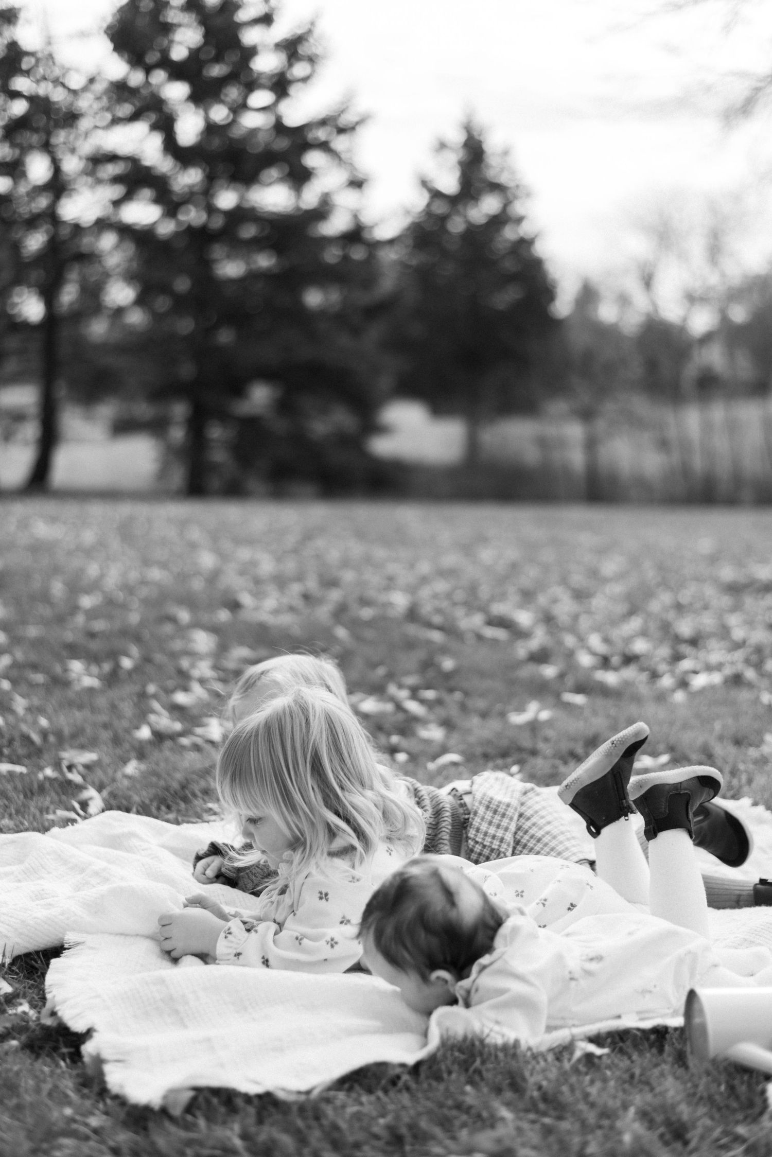 Siblings laying on picnic blanket during outdoor fall session