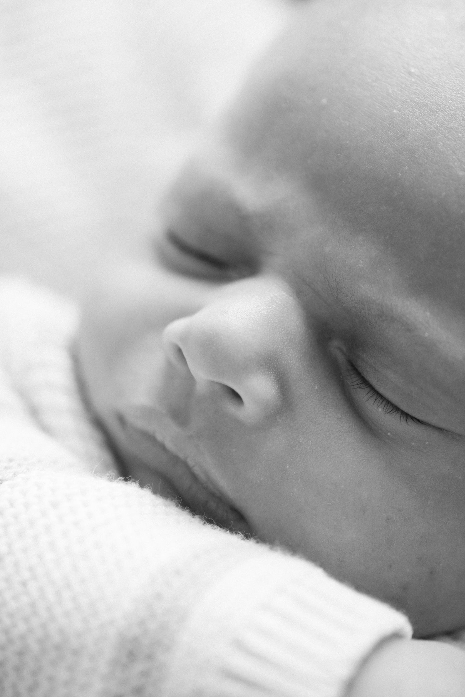 Closeup of a newborn face photographed during family session