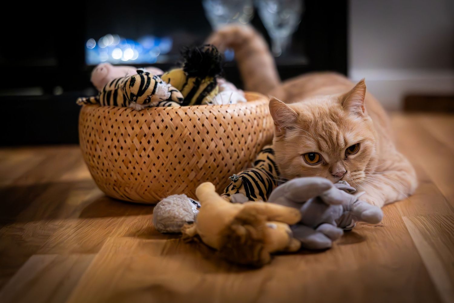 Multiple cats relaxing near woven baskets on hardwood floor in warm lighting.