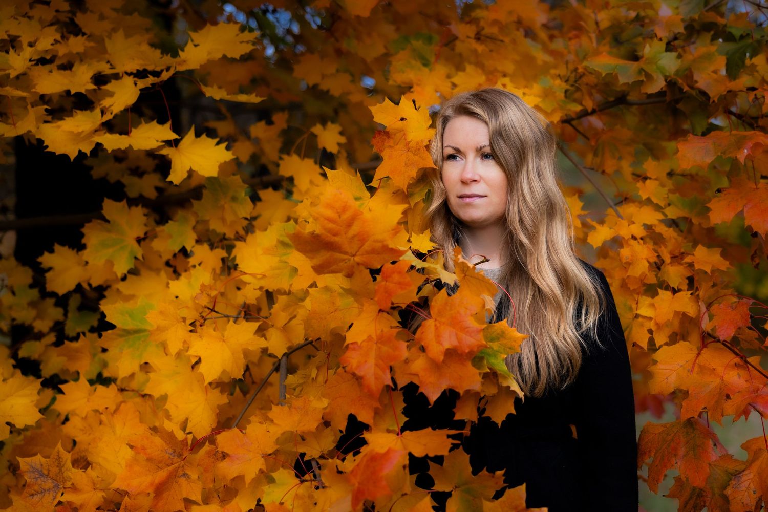 Autumn portrait series with vibrant orange maple leaves in background.