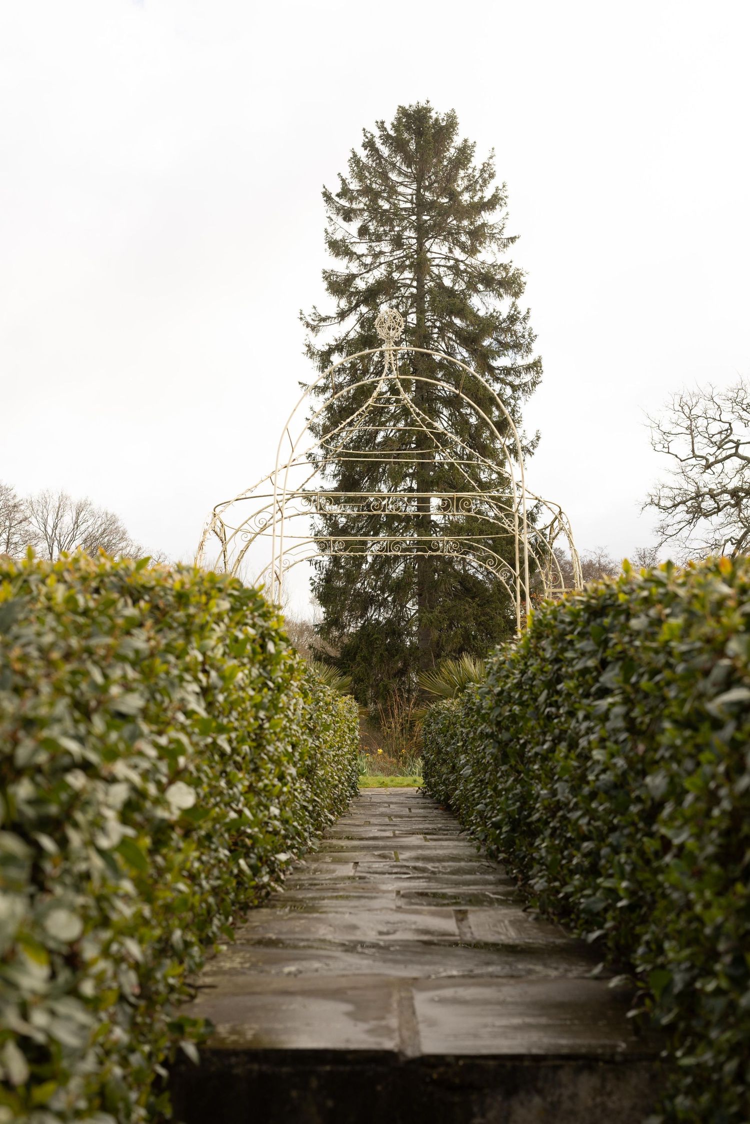 Stone pathway through trimmed green hedges leading to a tall evergreen tree in garden landscape of south downs manor