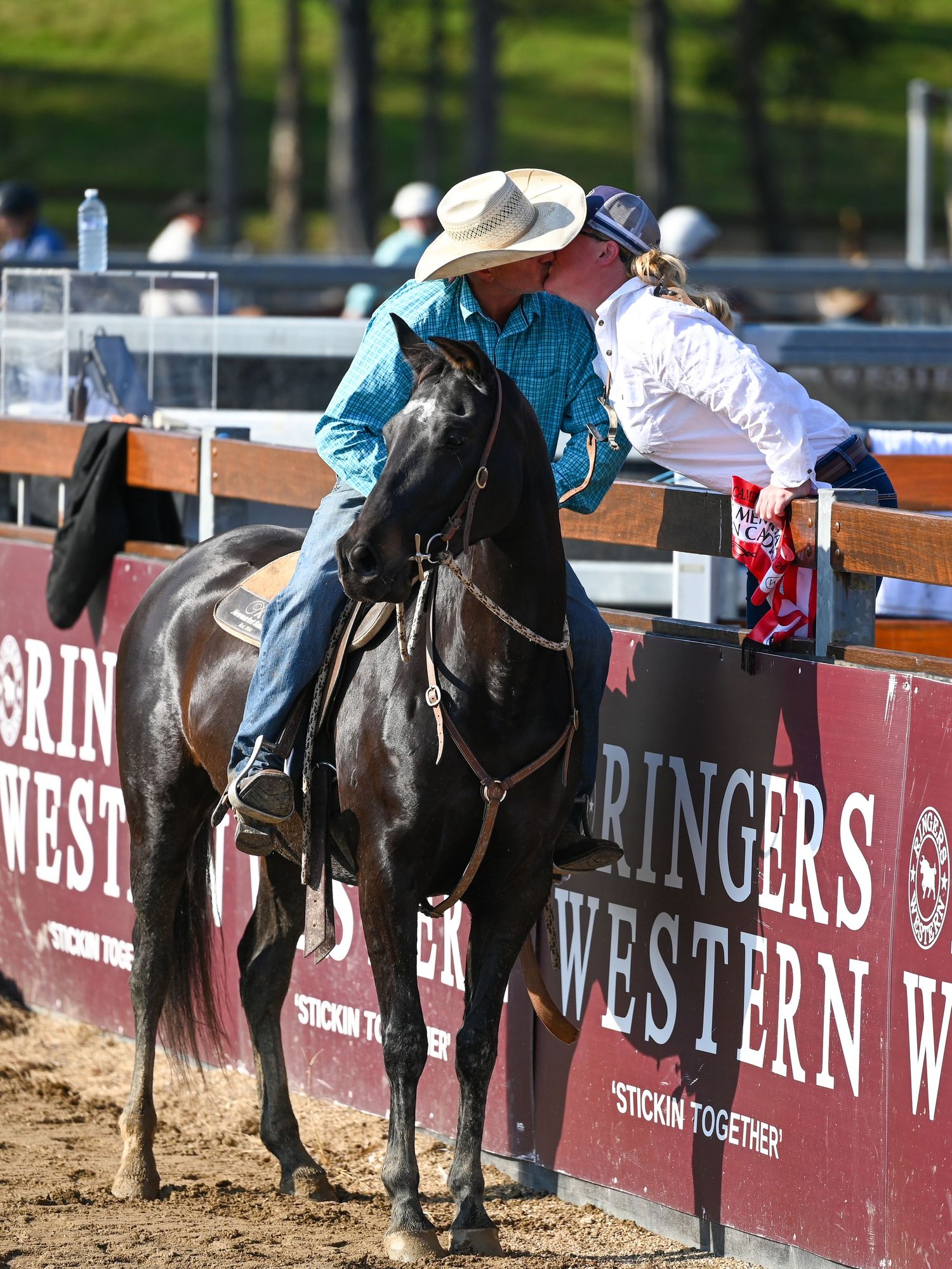 Campdrafting