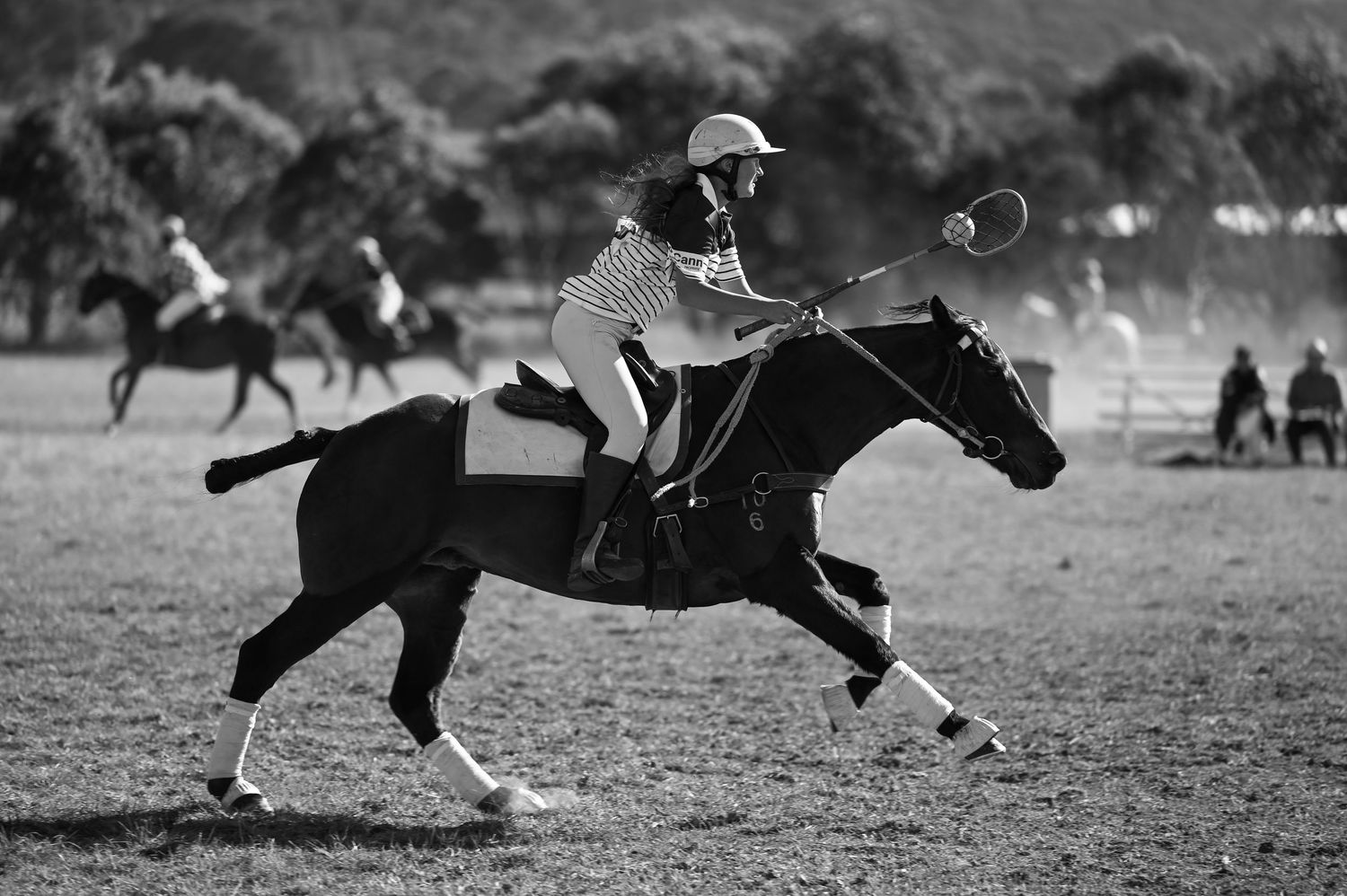 Polocrosse